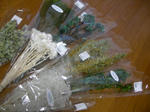 DSCN2799.JPG