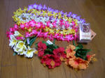 DSCN2812.JPG