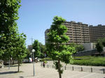 23.6.28c.jpg