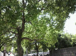 23.6.28d.jpg