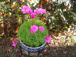 23.10.14c.JPG