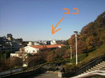fujisankitayamata.jpg