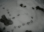 H24.2.29snowkamo2.JPG