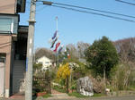 koinobori.JPG
