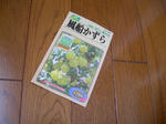 24.6.30asagao3.JPG