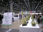 flowerdream2012e.jpg