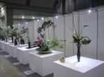 flowerdream2012f.jpg