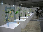 flowerdream2012g.jpg