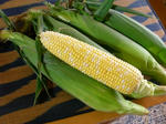 24.7corn.JPG