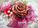 DSCN7312.JPG