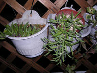 6f73c812.jpg