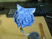 owl_head.jpg