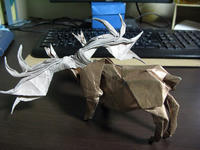 Megaloceros_2.jpg