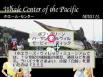 Amazon.co.jp: ワールドツアーコンダクター ～世界夢紀行