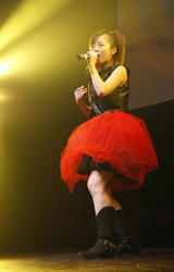 20081112_ph05.jpg