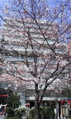 080326_1225~02.JPG