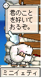 pet1