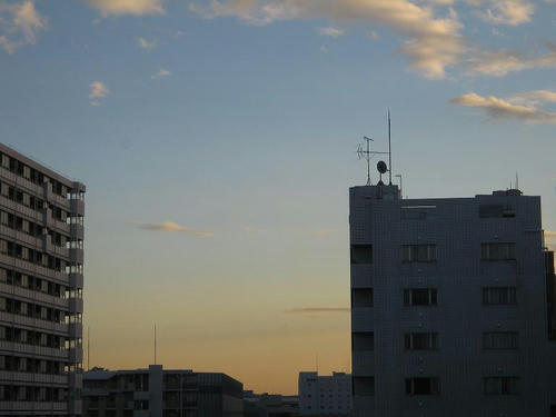 IMG_0876.jpg