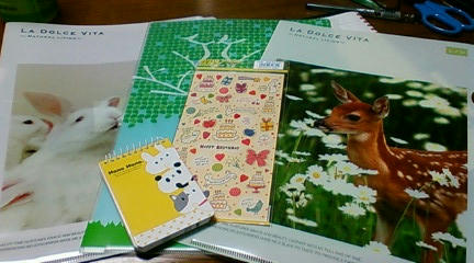20090311220042.jpg
