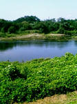 03a97c58.JPG