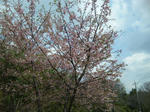 037af793.jpg