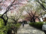d6927d19.jpg