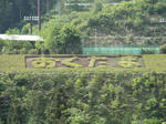 493d34d1.jpg