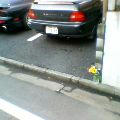 自分の駐車場には，いつも花が添えられて・・・。