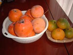 柿，みかん