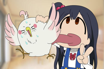 あいまいみー あいまいまーけっと