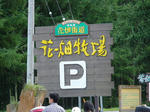 hanabatake1.JPG