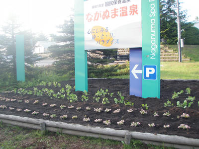 P5291325.JPG