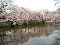 DSCN0100x.JPG
