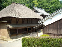 DSCN0214x.JPG