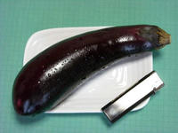 DSCN0021b.JPG