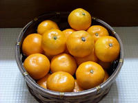DSCN0039a.JPG