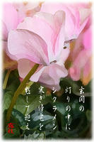 DPP_00041090.jpg