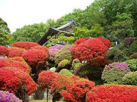 DSCN0010-3.JPG