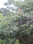 070924-1.JPG