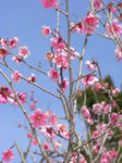 080211-4.JPG
