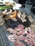 P1000263.JPG