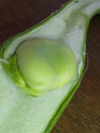 20110403.jpg