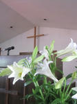 IMG_1068-2.jpg