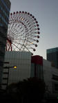 101126-1.jpg