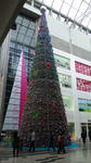 DVC00155.JPG