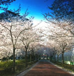 120412.JPG