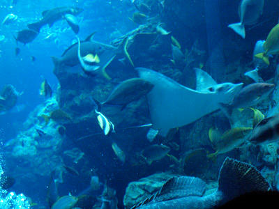 P7200837.jpg