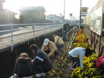 20101120_020.jpg