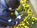 20101218_005.jpg