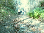 20110227_007.jpg